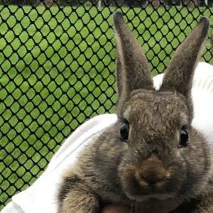 Meet your Posher, Bethany